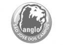 logo-anglo